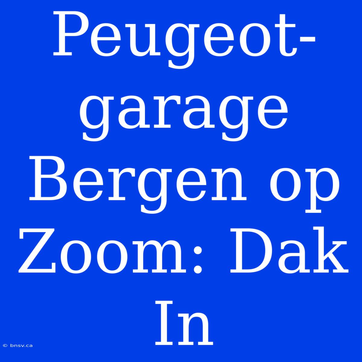 Peugeot-garage Bergen Op Zoom: Dak In