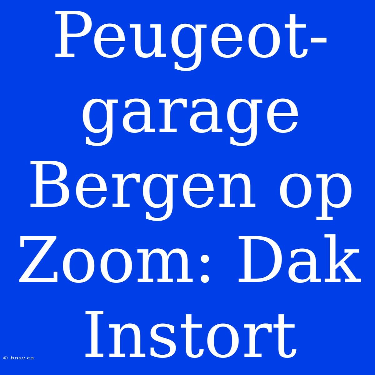 Peugeot-garage Bergen Op Zoom: Dak Instort