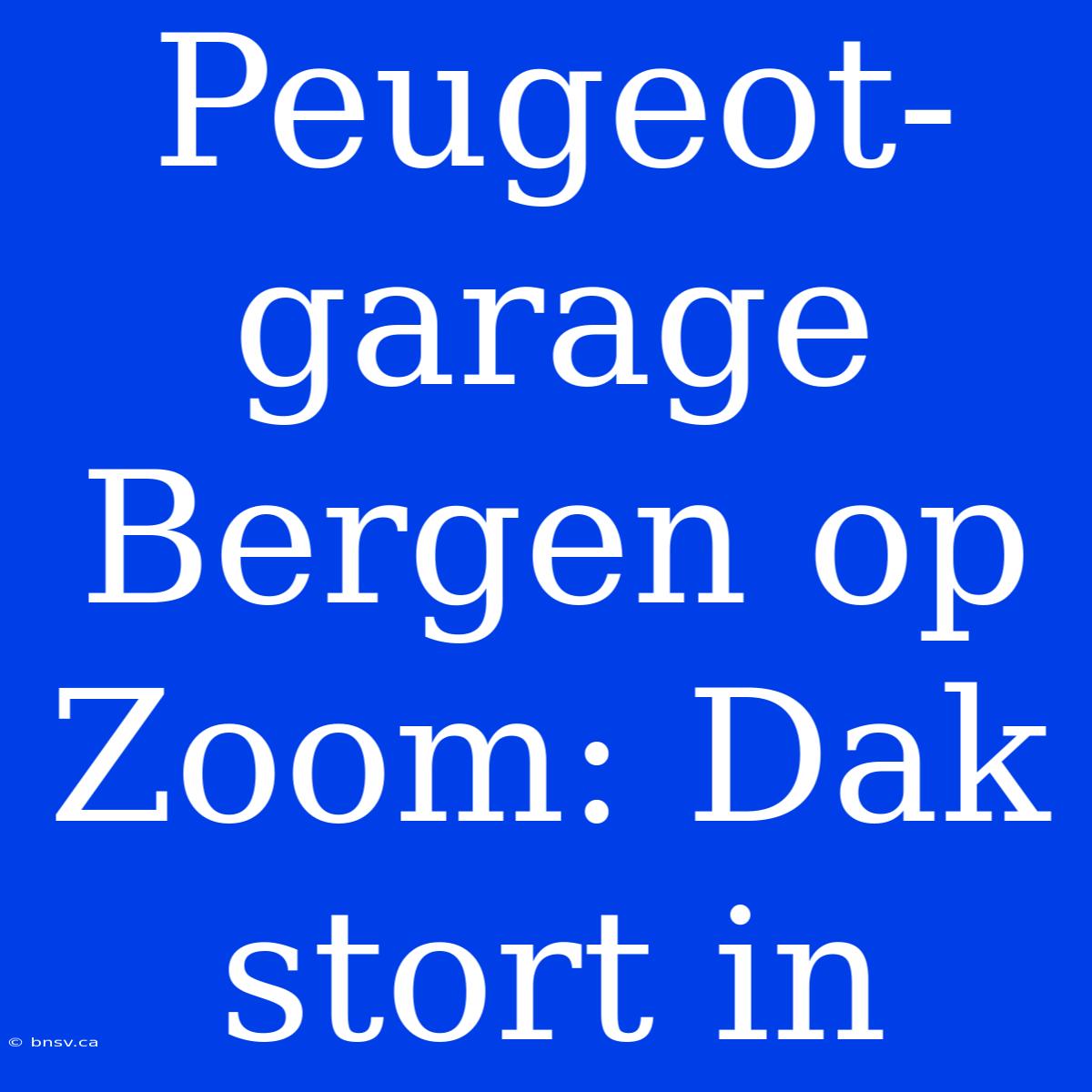 Peugeot-garage Bergen Op Zoom: Dak Stort In