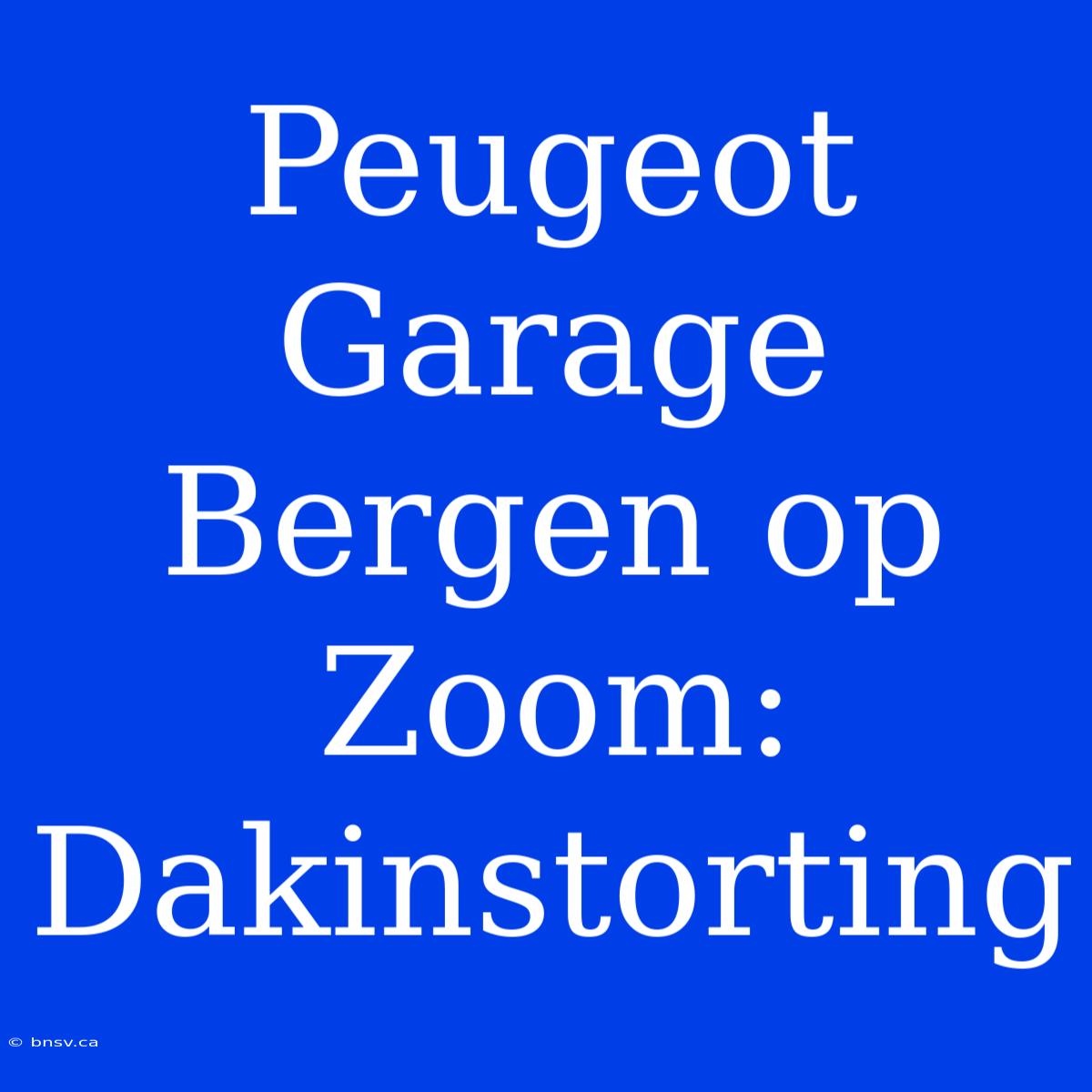 Peugeot Garage Bergen Op Zoom: Dakinstorting