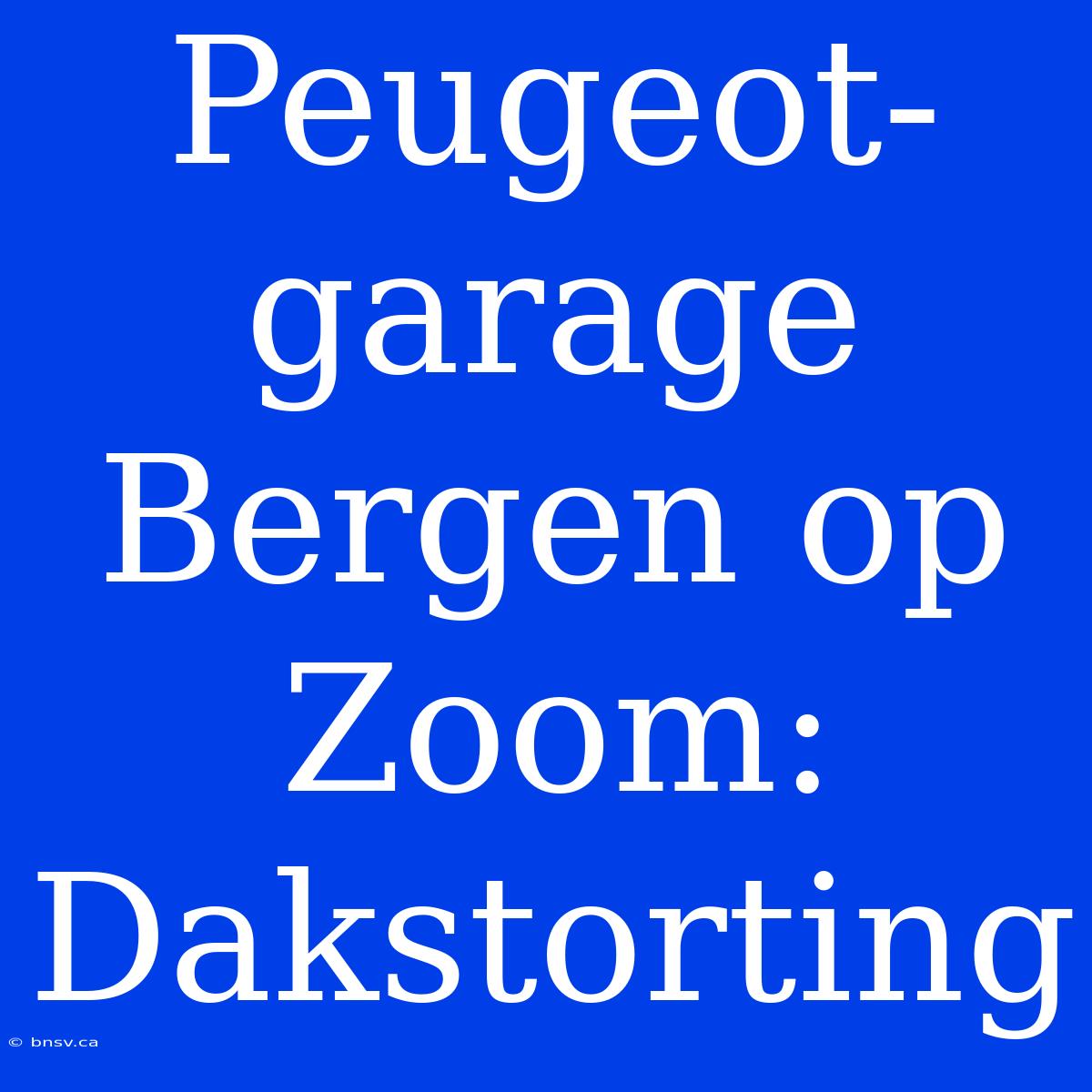 Peugeot-garage Bergen Op Zoom: Dakstorting