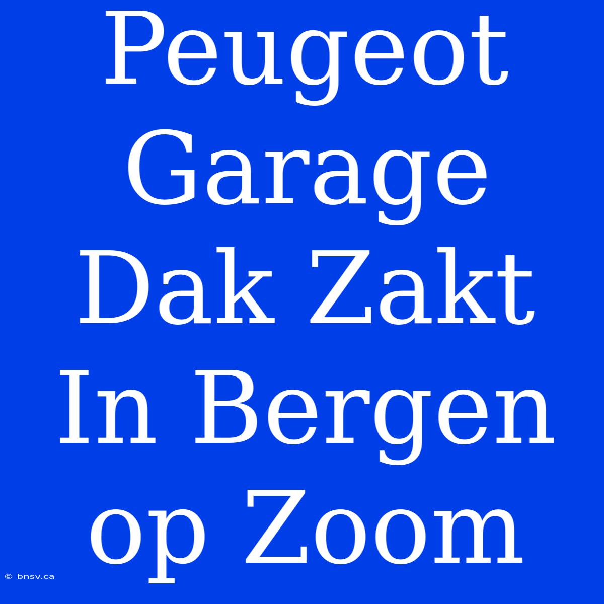 Peugeot Garage Dak Zakt In Bergen Op Zoom