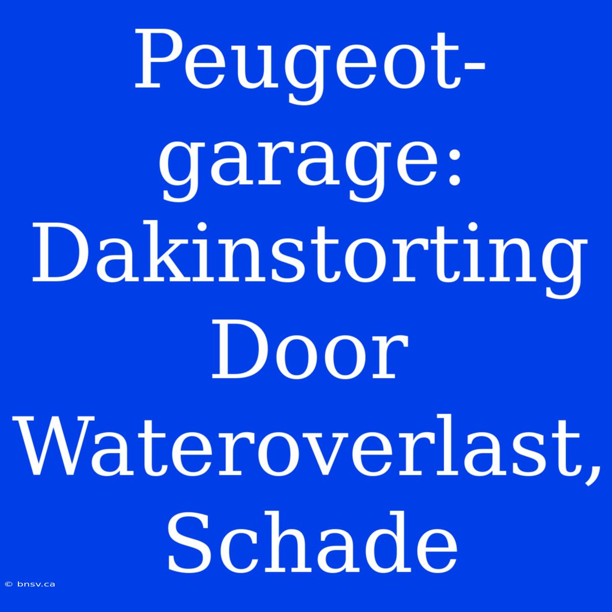 Peugeot-garage: Dakinstorting Door Wateroverlast, Schade