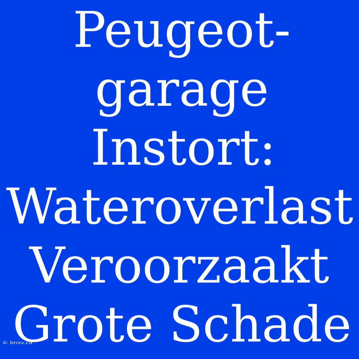 Peugeot-garage Instort: Wateroverlast Veroorzaakt Grote Schade