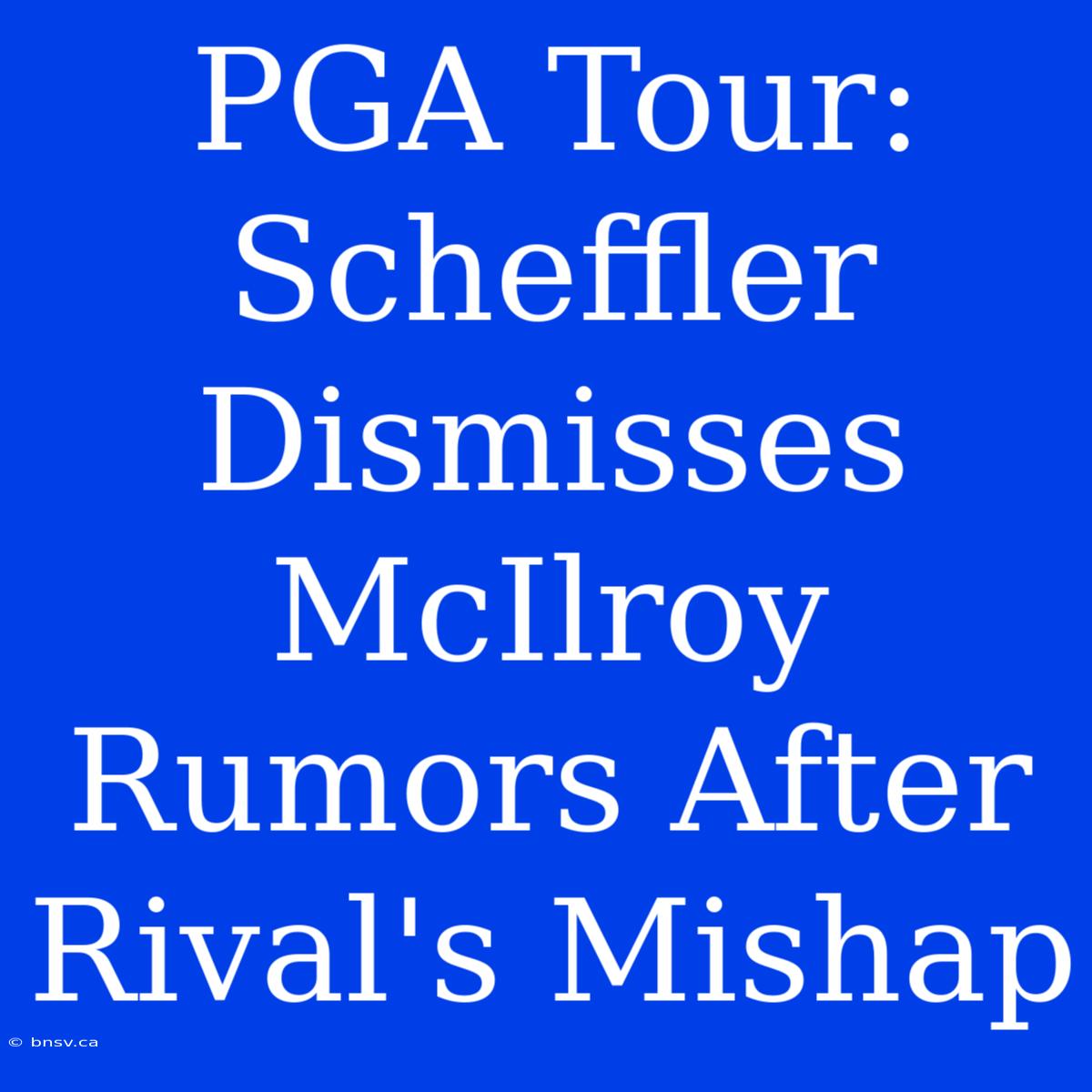 PGA Tour: Scheffler Dismisses McIlroy Rumors After Rival's Mishap