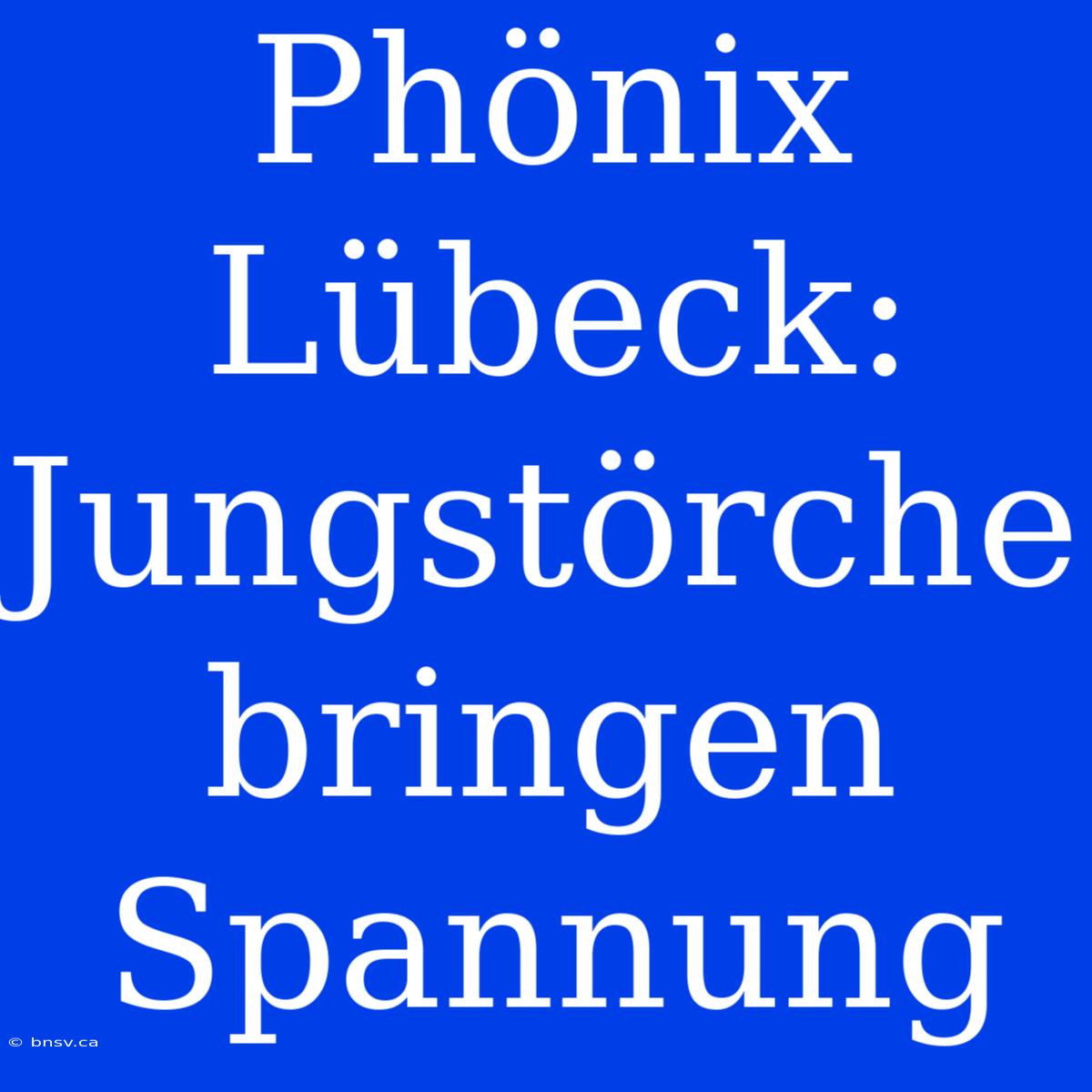 Phönix Lübeck: Jungstörche Bringen Spannung