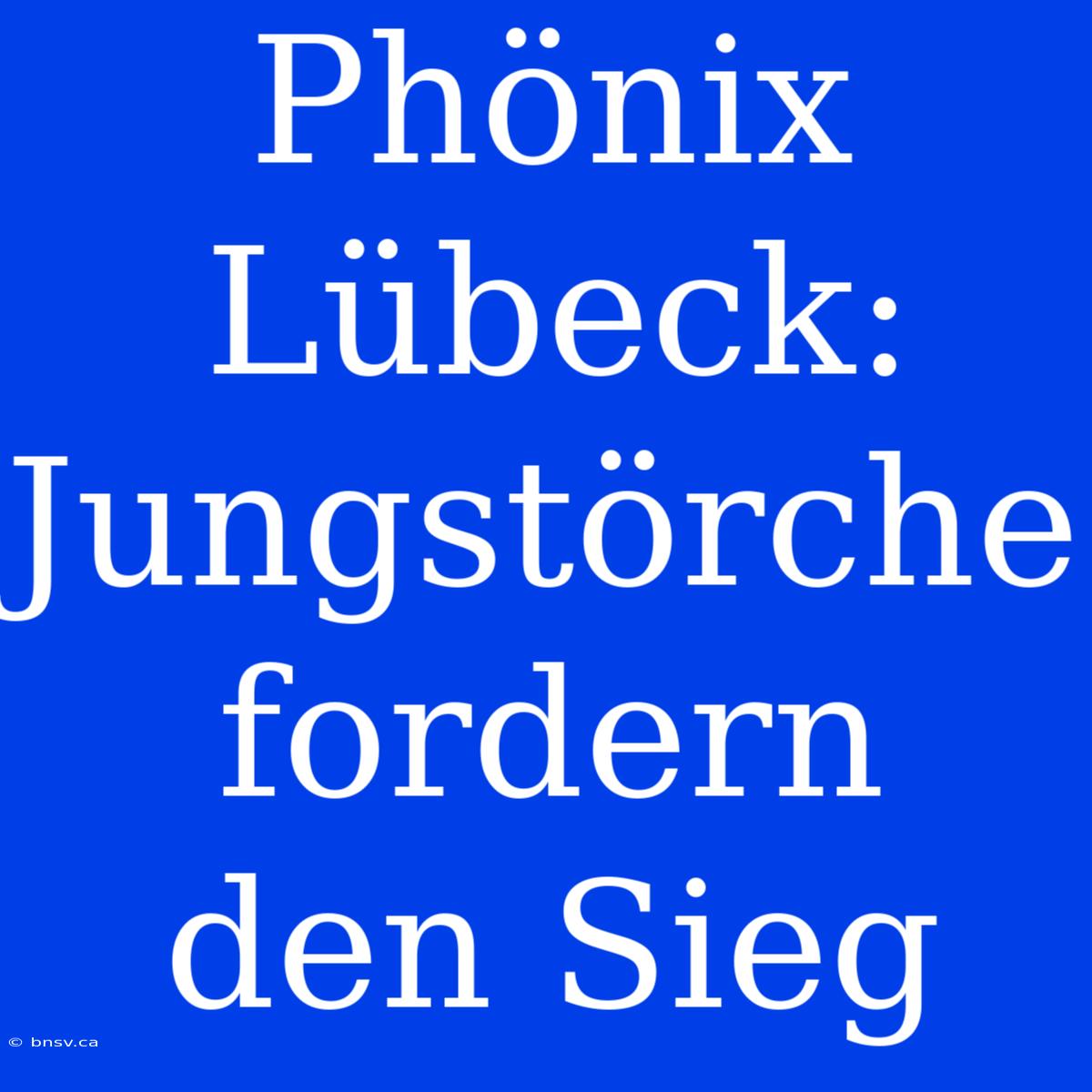 Phönix Lübeck: Jungstörche Fordern Den Sieg