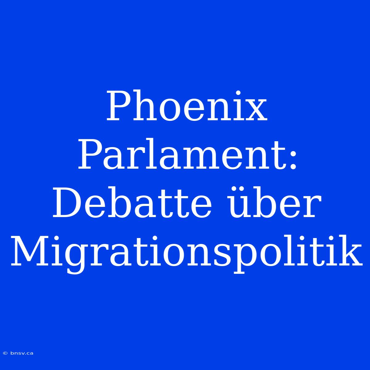 Phoenix Parlament: Debatte Über Migrationspolitik