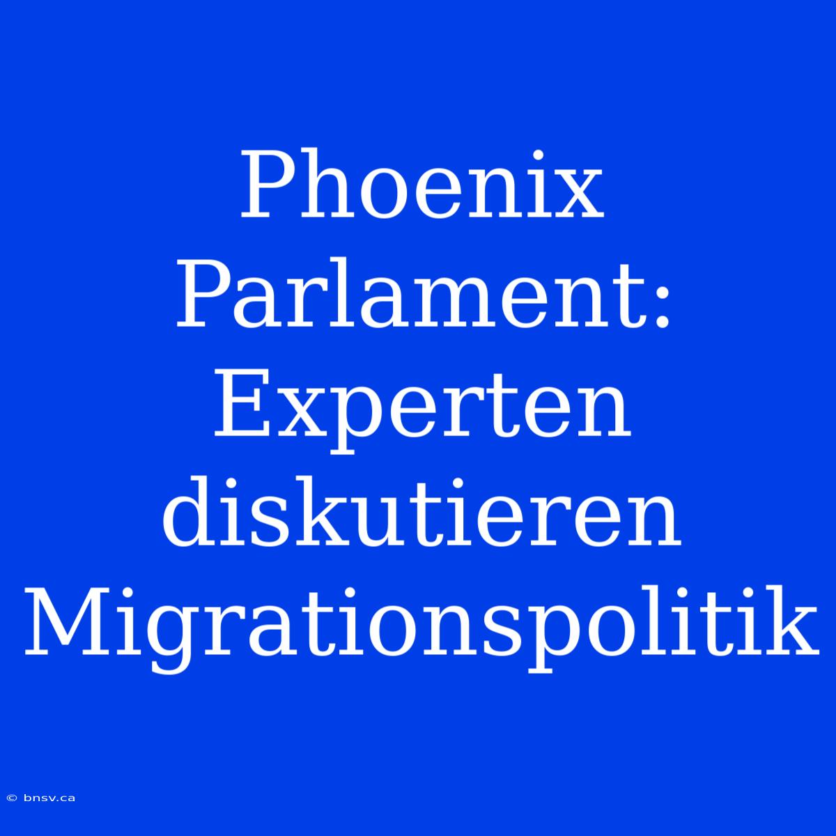 Phoenix Parlament: Experten Diskutieren Migrationspolitik