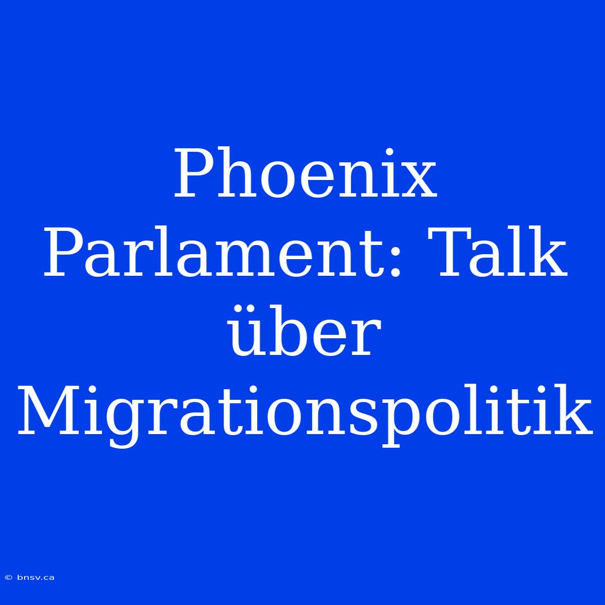 Phoenix Parlament: Talk Über Migrationspolitik