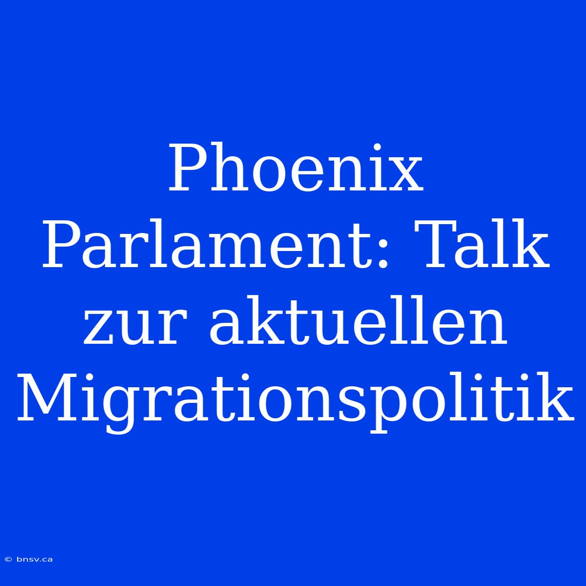 Phoenix Parlament: Talk Zur Aktuellen Migrationspolitik