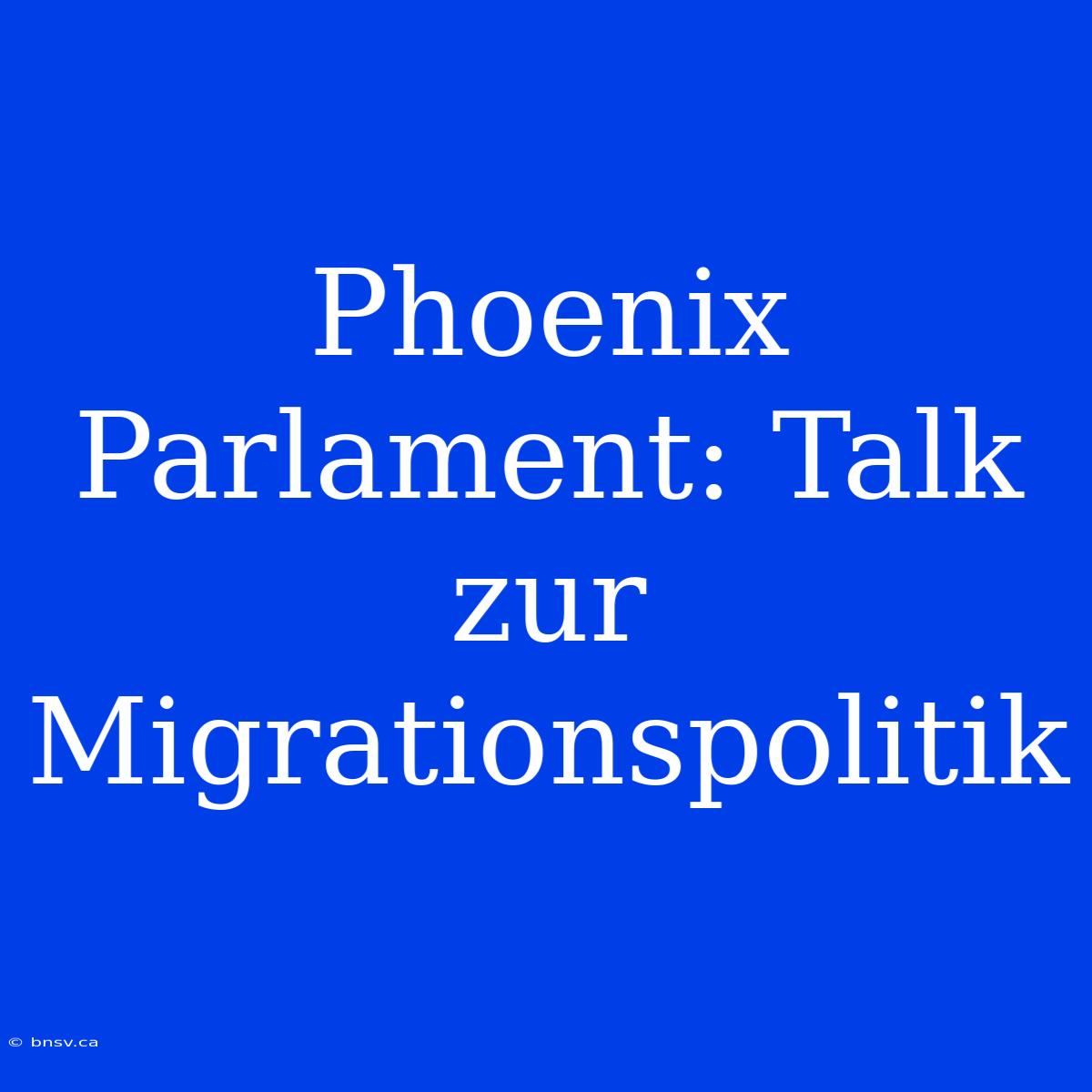 Phoenix Parlament: Talk Zur Migrationspolitik