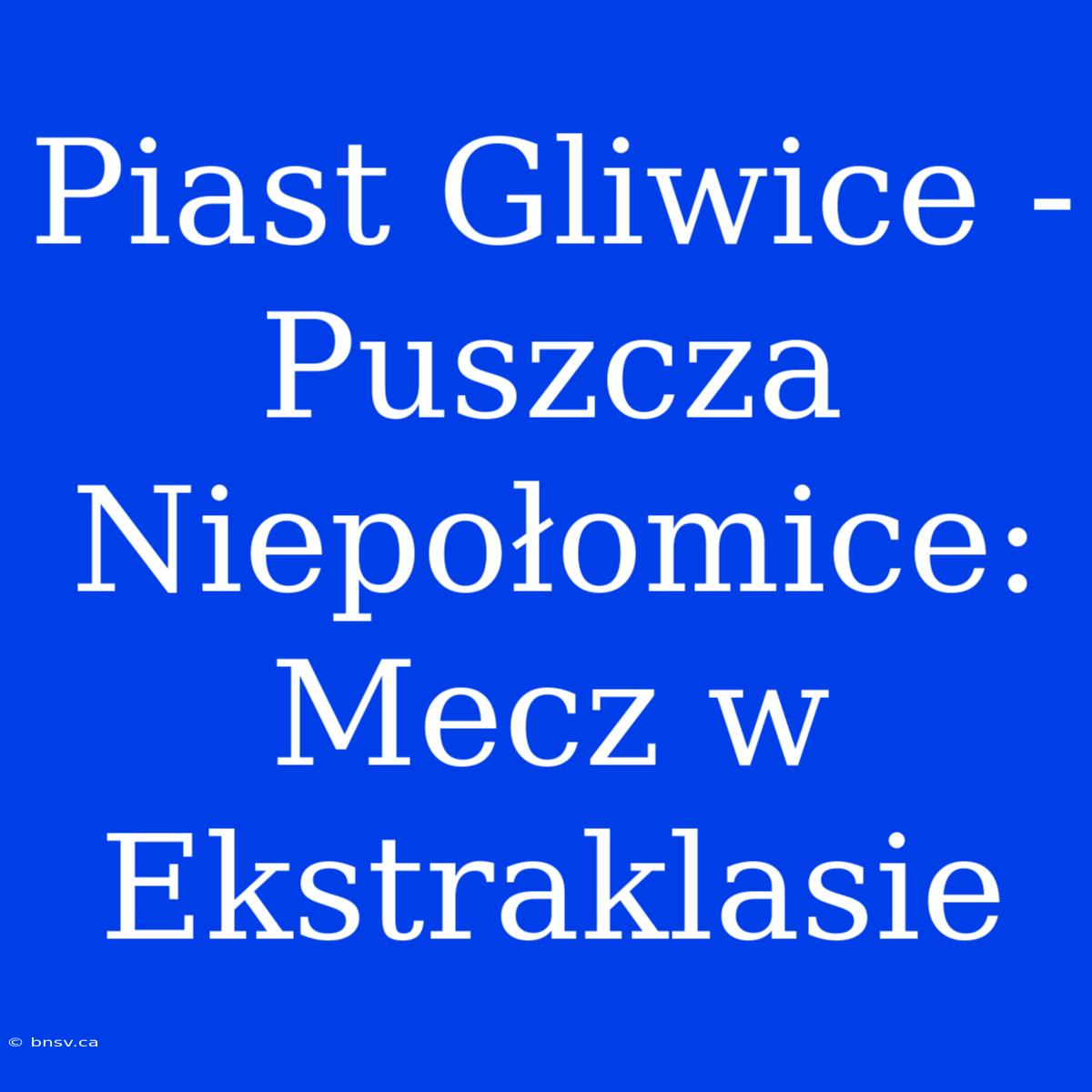 Piast Gliwice - Puszcza Niepołomice: Mecz W Ekstraklasie