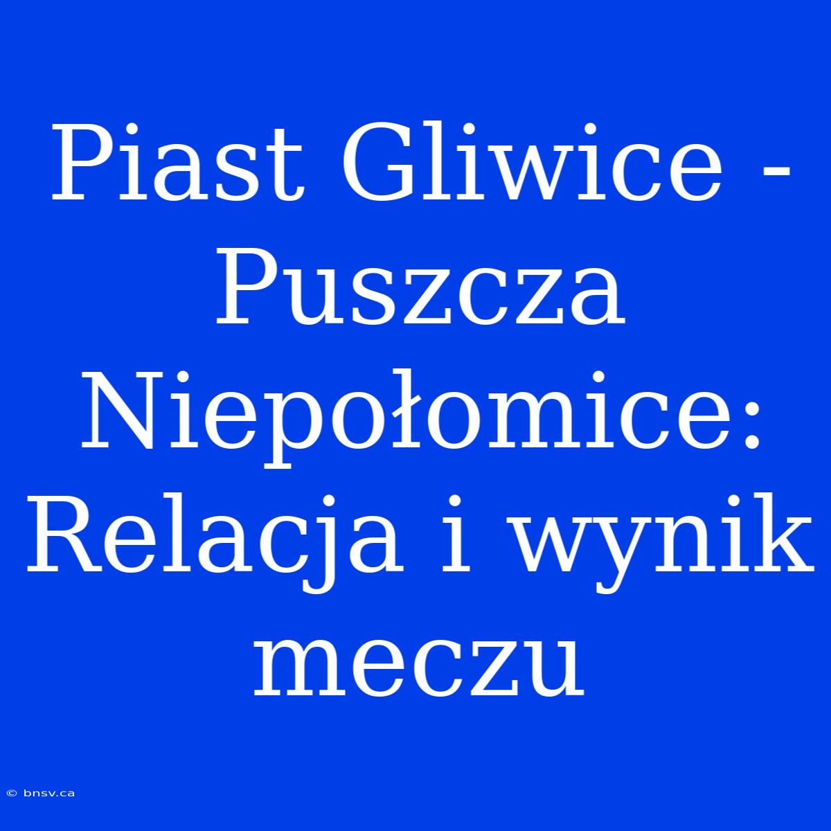 Piast Gliwice - Puszcza Niepołomice: Relacja I Wynik Meczu