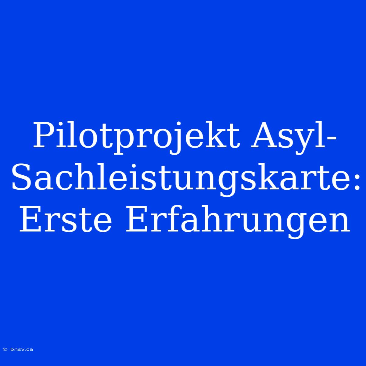 Pilotprojekt Asyl-Sachleistungskarte: Erste Erfahrungen