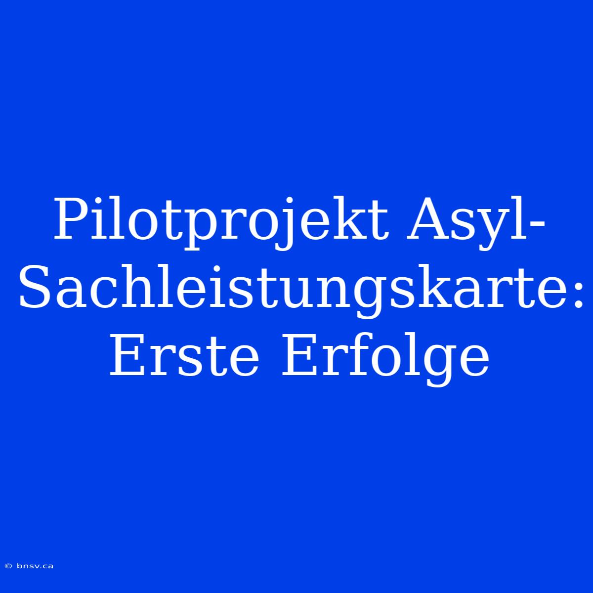 Pilotprojekt Asyl-Sachleistungskarte: Erste Erfolge