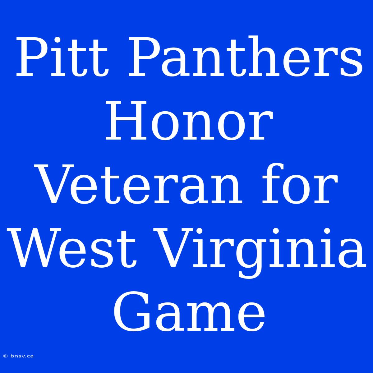 Pitt Panthers Honor Veteran For West Virginia Game