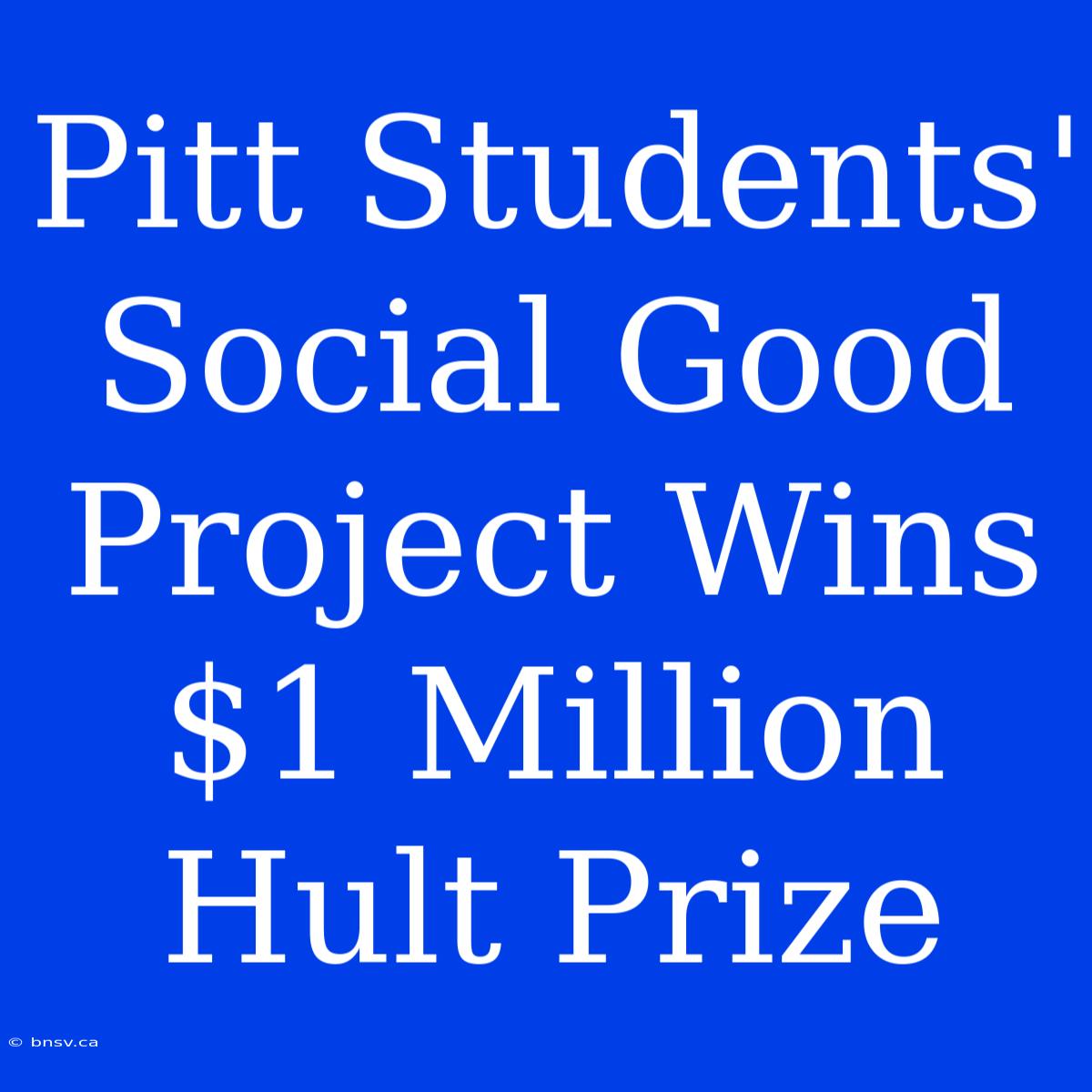 Pitt Students' Social Good Project Wins $1 Million Hult Prize