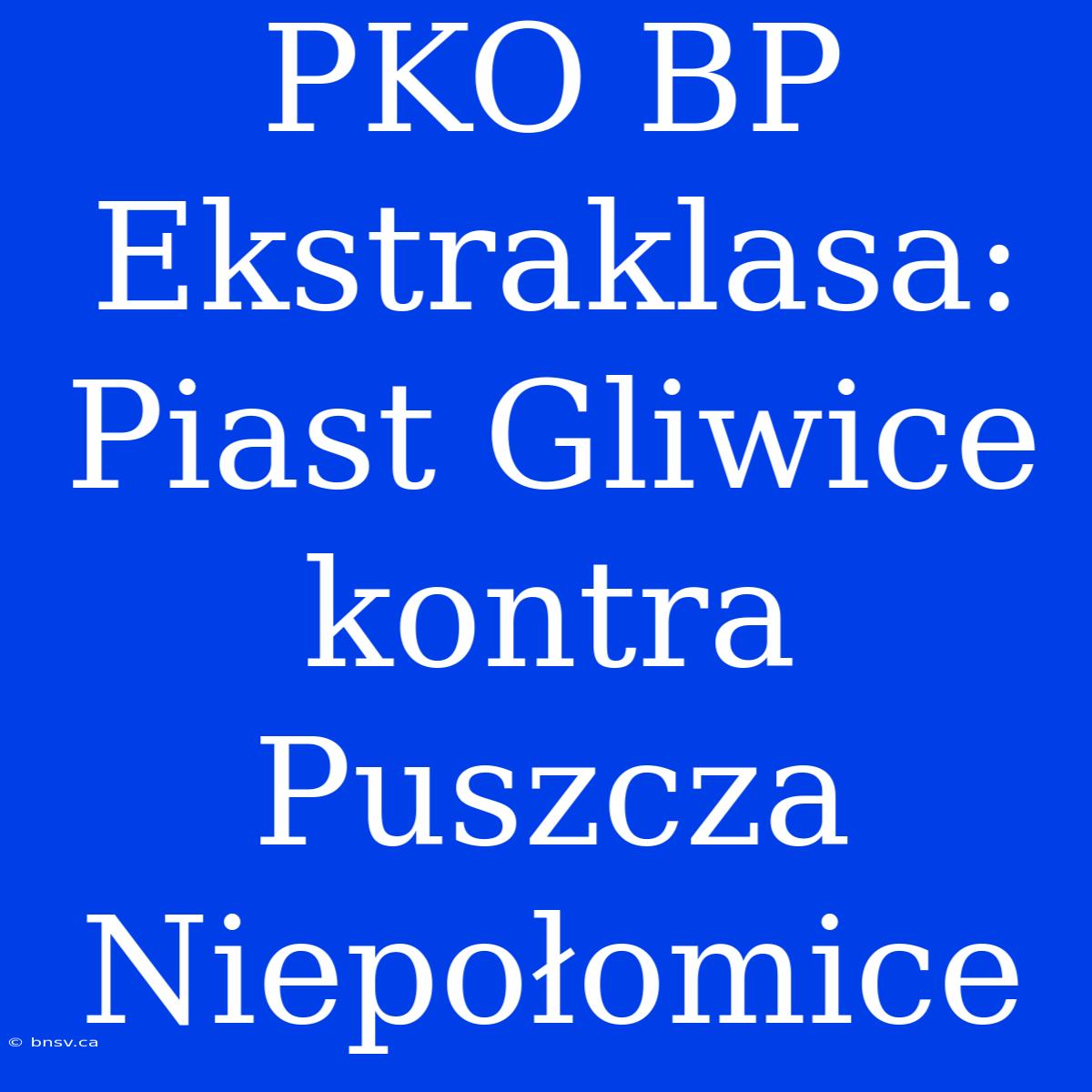 PKO BP Ekstraklasa: Piast Gliwice Kontra Puszcza Niepołomice