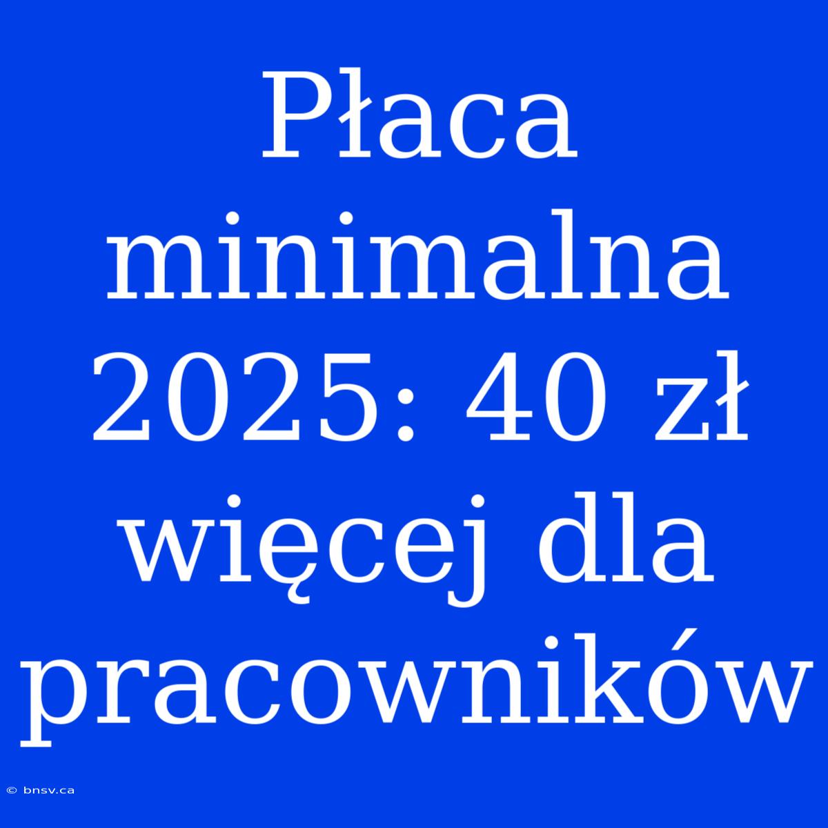 Płaca Minimalna 2025: 40 Zł Więcej Dla Pracowników