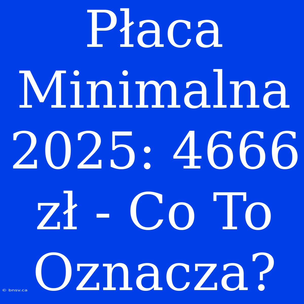 Płaca Minimalna 2025: 4666 Zł - Co To Oznacza?