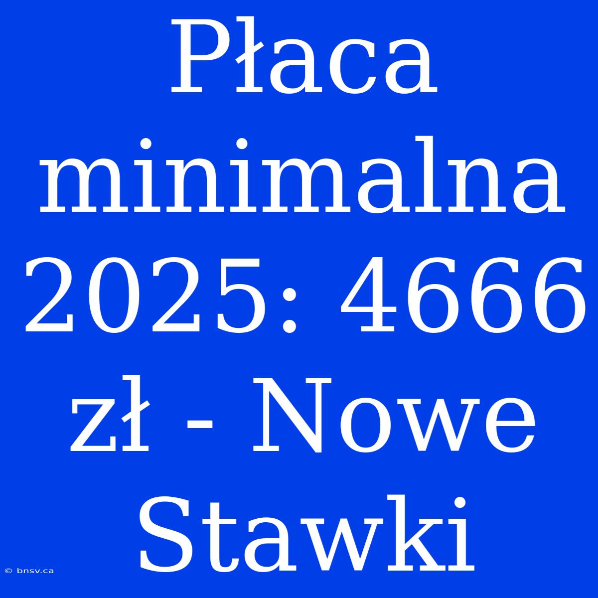 Płaca Minimalna 2025: 4666 Zł - Nowe Stawki