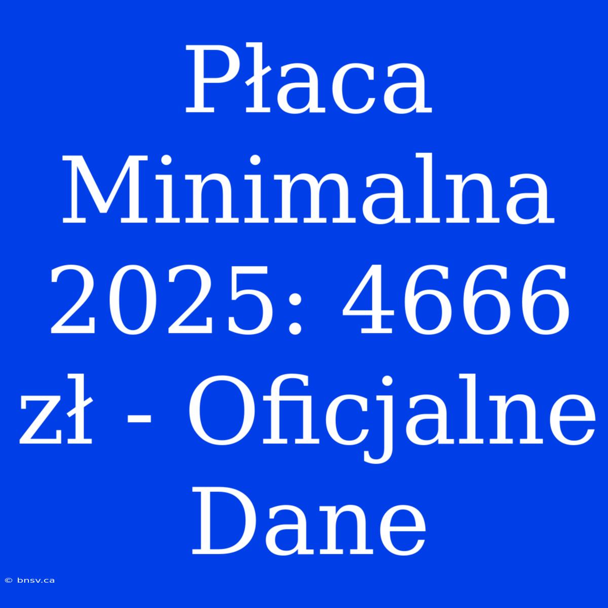 Płaca Minimalna 2025: 4666 Zł - Oficjalne Dane