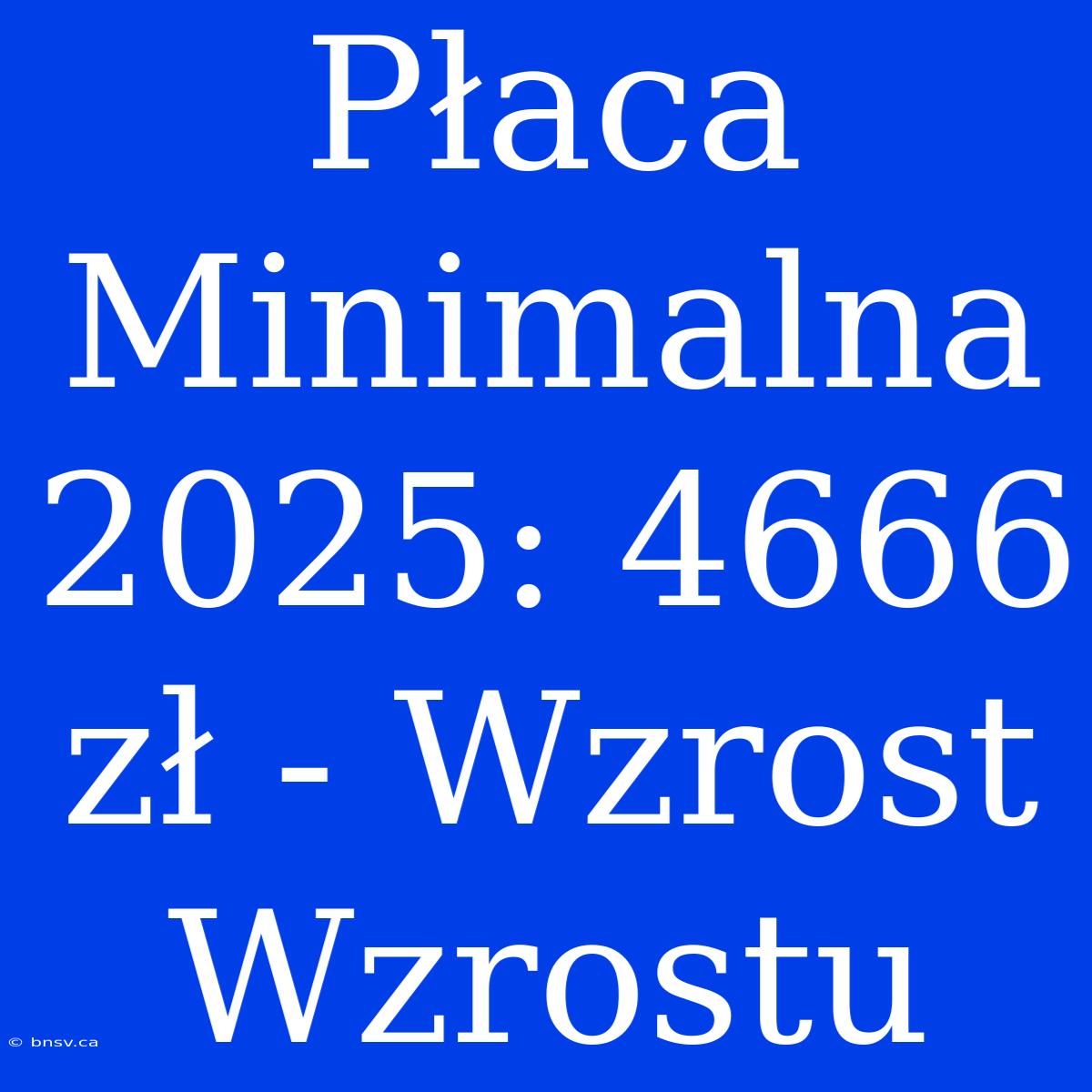 Płaca Minimalna 2025: 4666 Zł - Wzrost Wzrostu