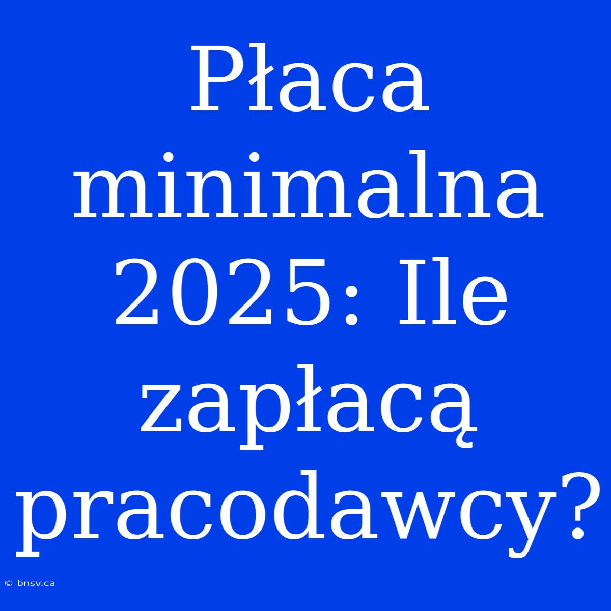 Płaca Minimalna 2025: Ile Zapłacą Pracodawcy?