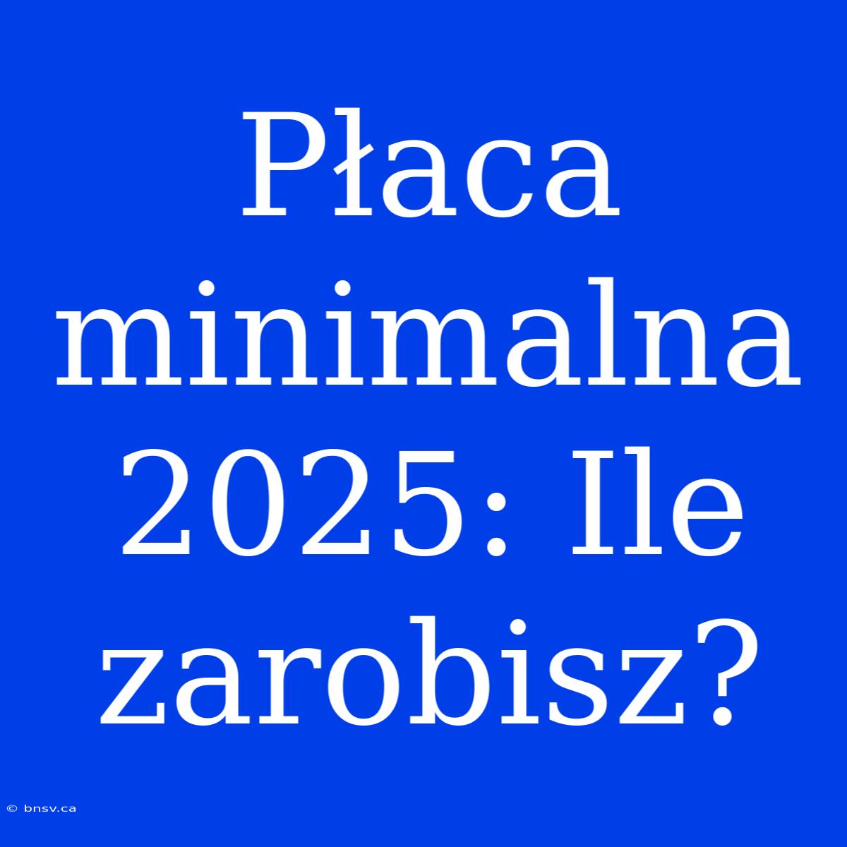 Płaca Minimalna 2025: Ile Zarobisz?