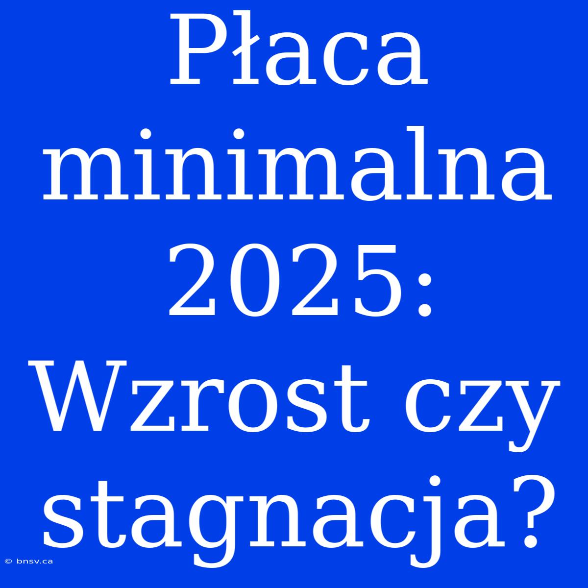 Płaca Minimalna 2025: Wzrost Czy Stagnacja?