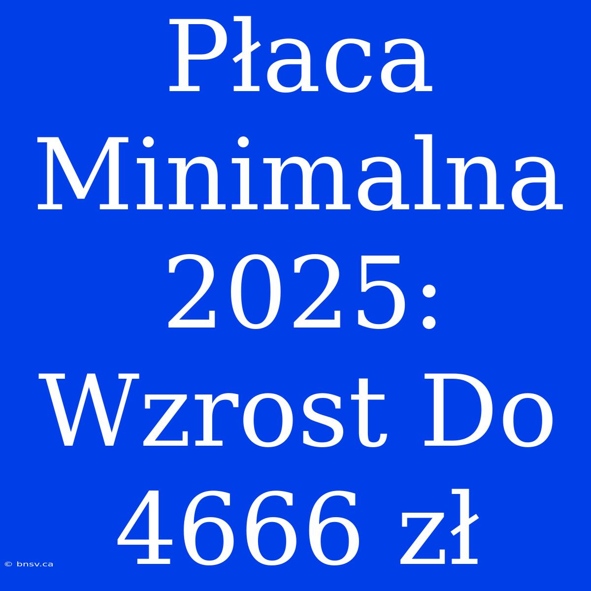 Płaca Minimalna 2025: Wzrost Do 4666 Zł