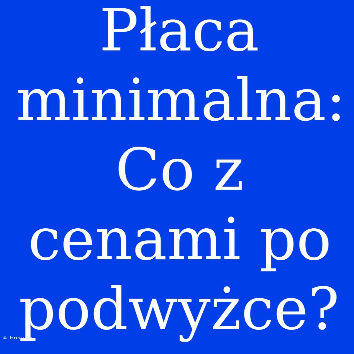 Płaca Minimalna: Co Z Cenami Po Podwyżce?