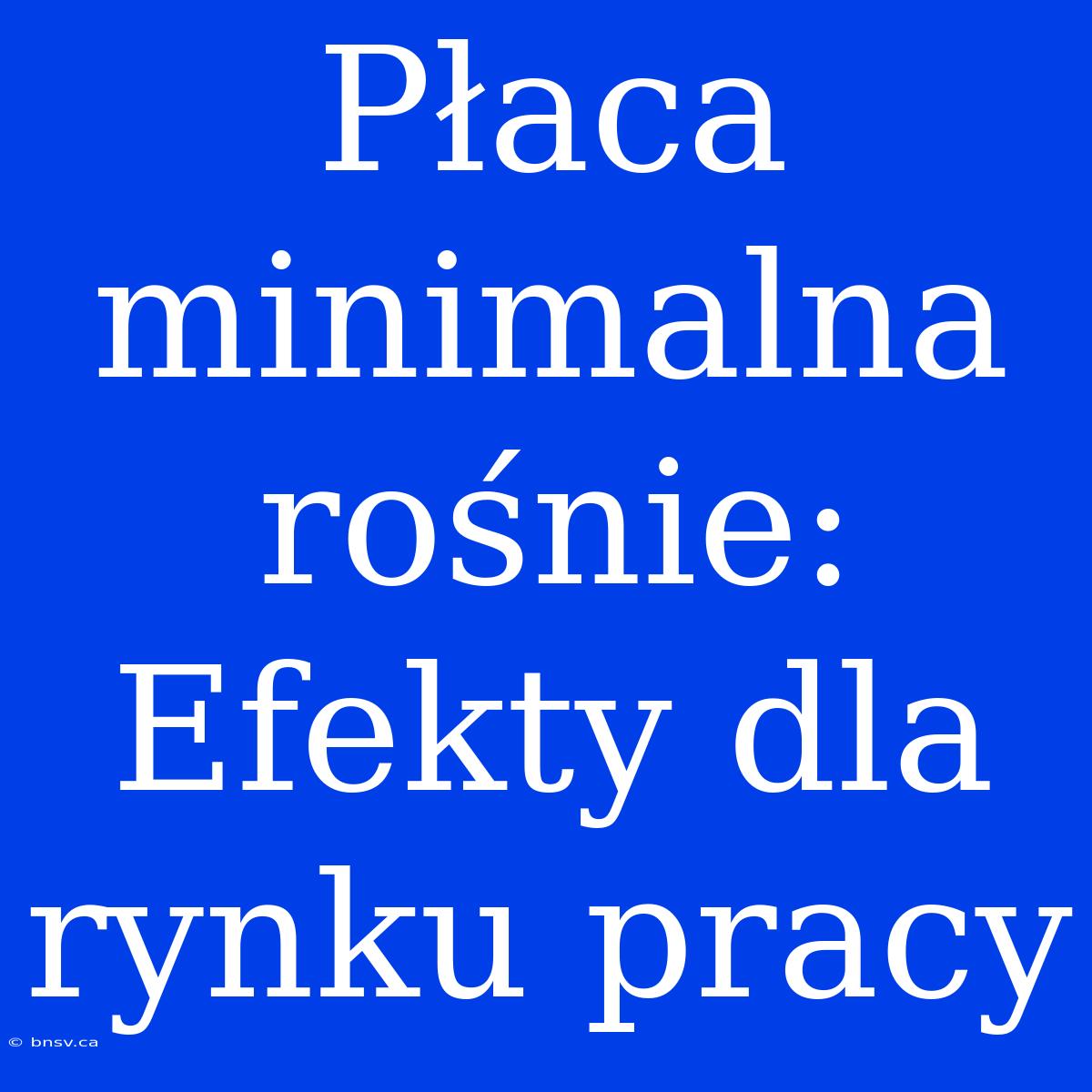 Płaca Minimalna Rośnie: Efekty Dla Rynku Pracy