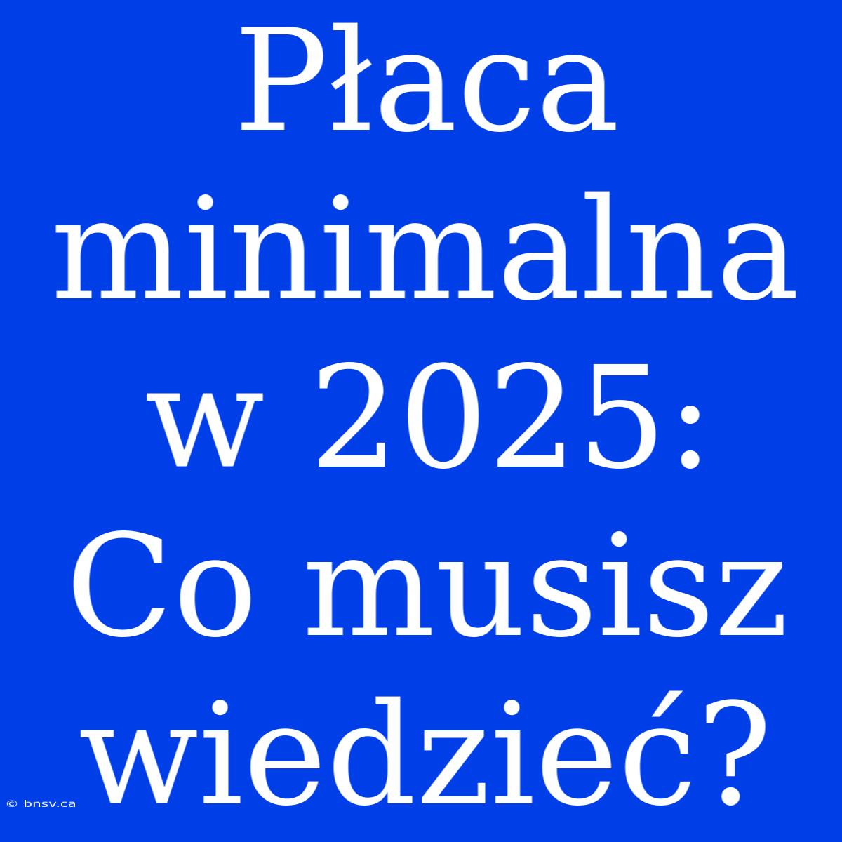 Płaca Minimalna W 2025:  Co Musisz Wiedzieć?