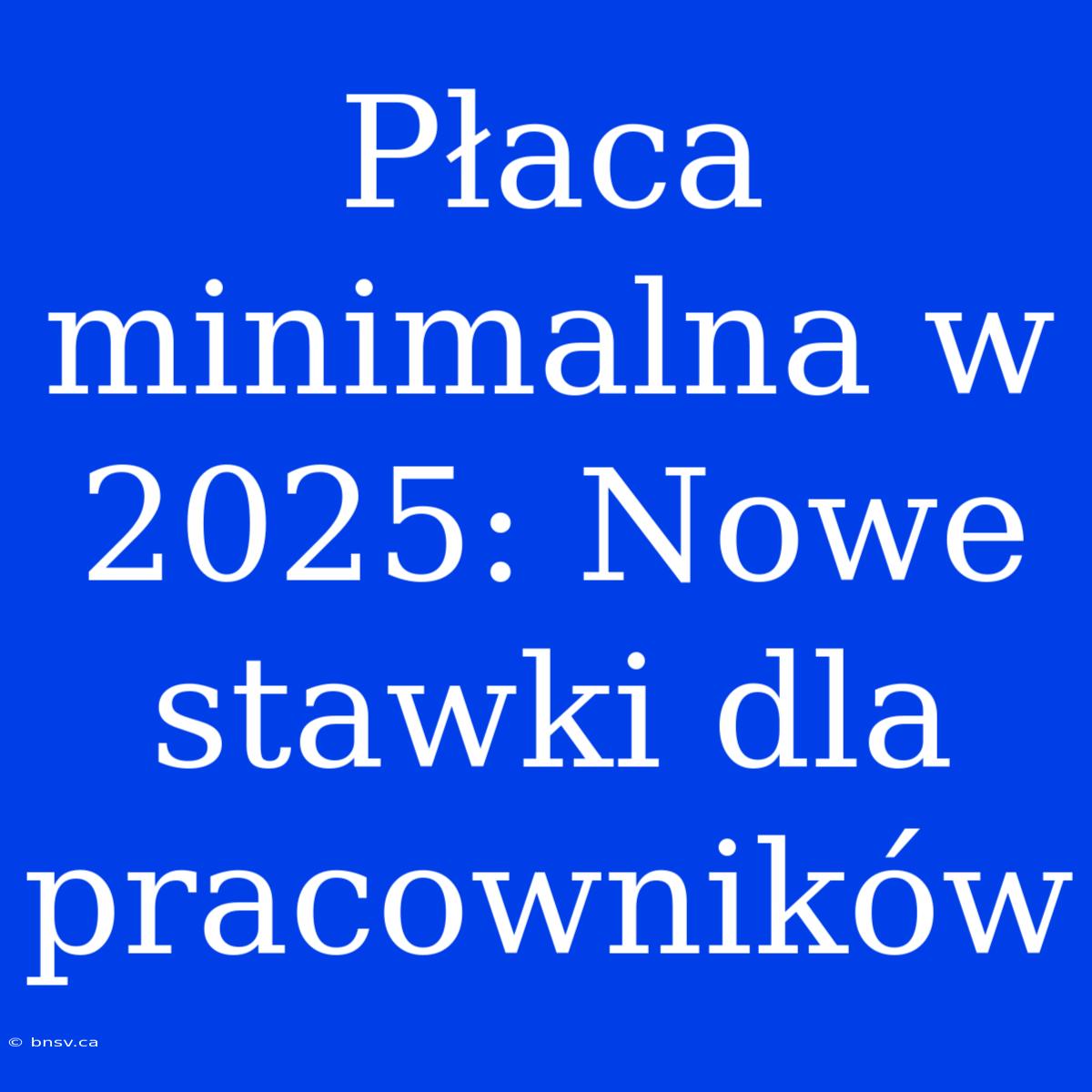 Płaca Minimalna W 2025: Nowe Stawki Dla Pracowników