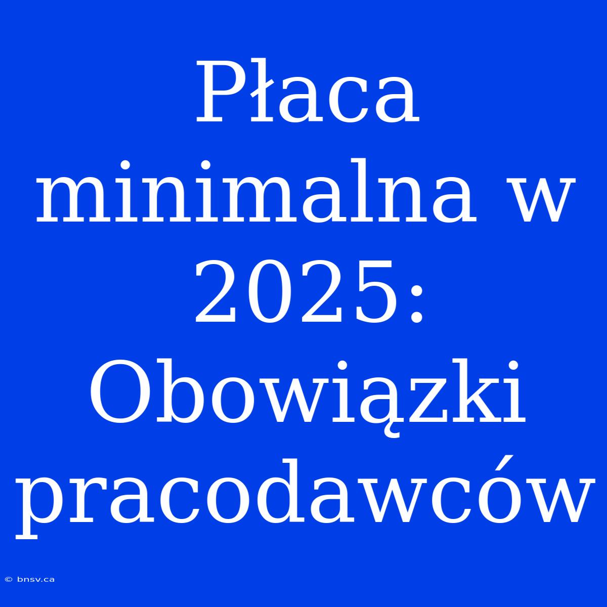 Płaca Minimalna W 2025: Obowiązki Pracodawców