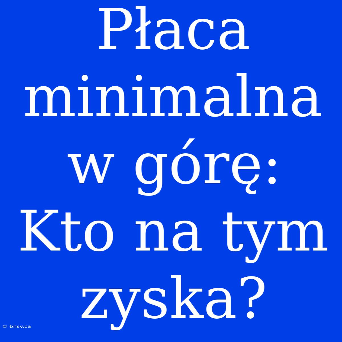 Płaca Minimalna W Górę: Kto Na Tym Zyska?