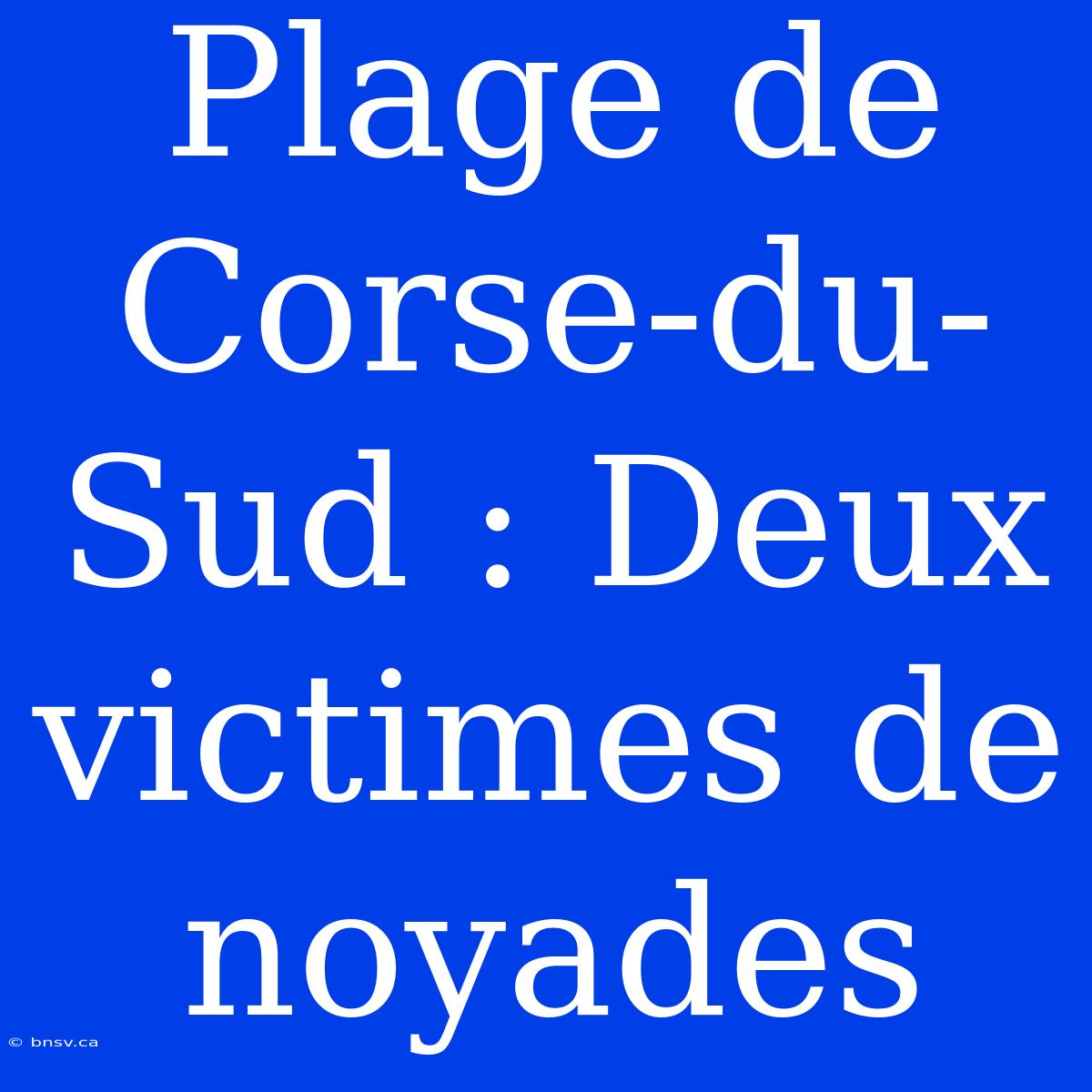 Plage De Corse-du-Sud : Deux Victimes De Noyades