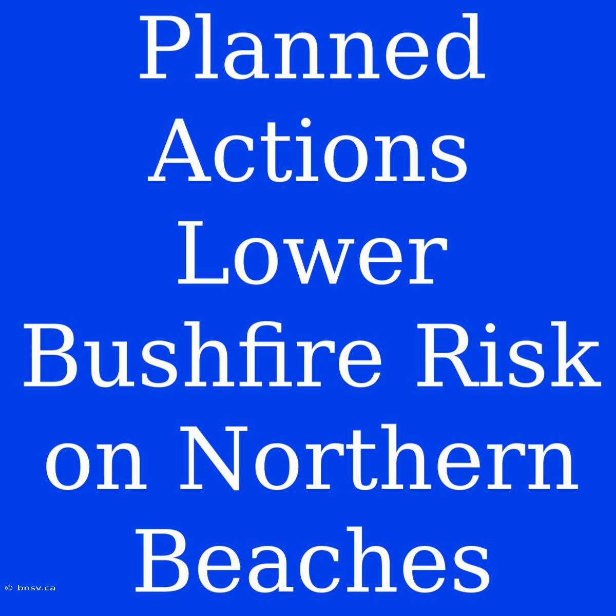 Planned Actions Lower Bushfire Risk On Northern Beaches