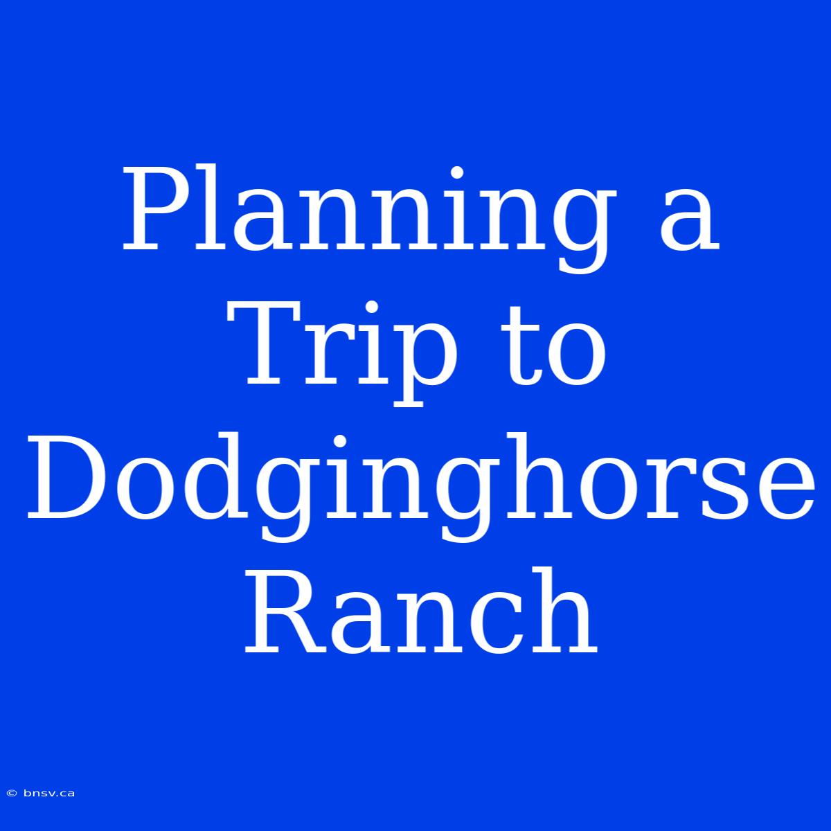 Planning A Trip To Dodginghorse Ranch