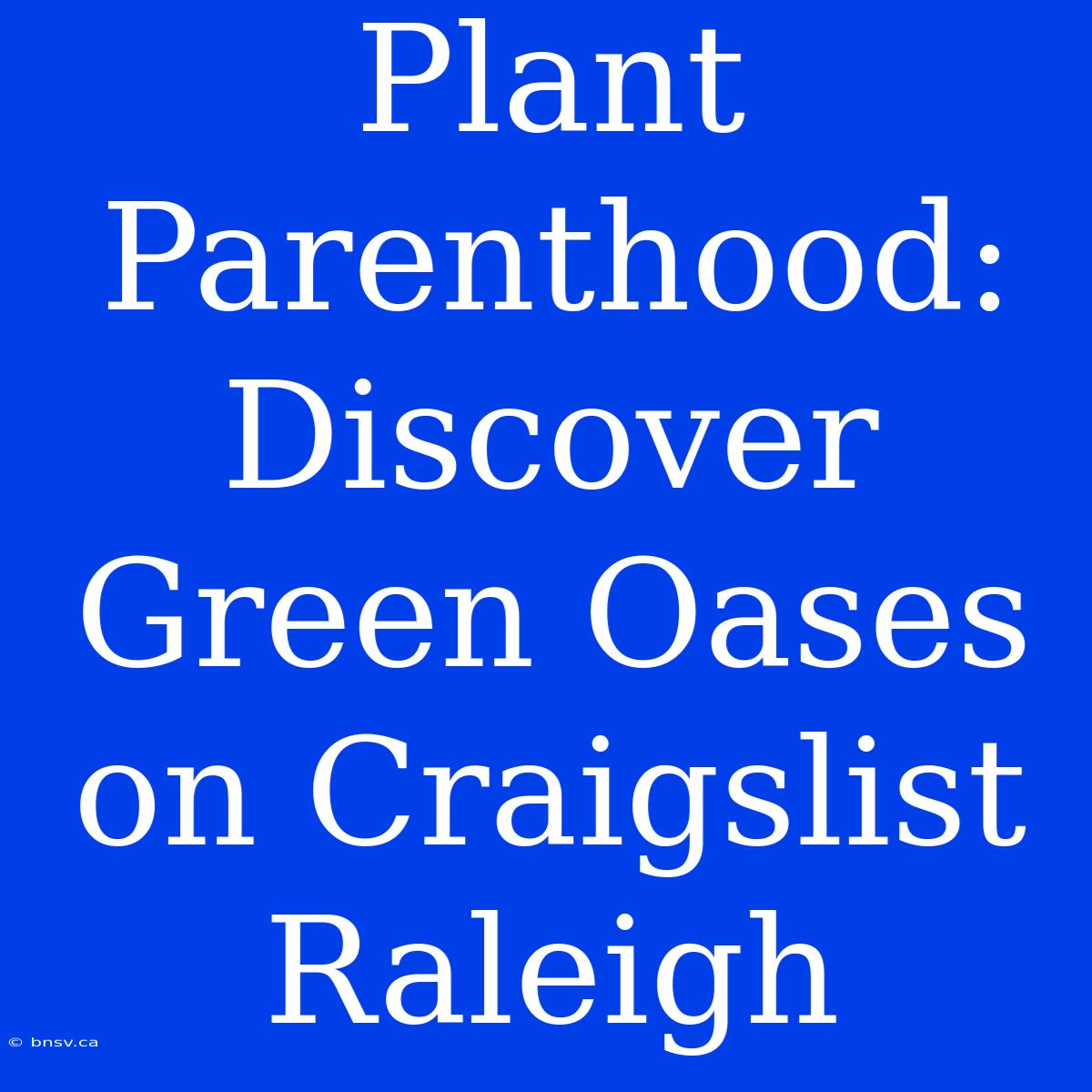 Plant Parenthood: Discover Green Oases On Craigslist Raleigh