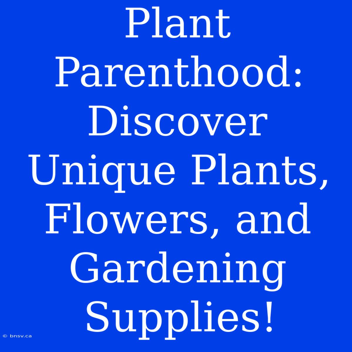 Plant Parenthood: Discover Unique Plants, Flowers, And Gardening Supplies!