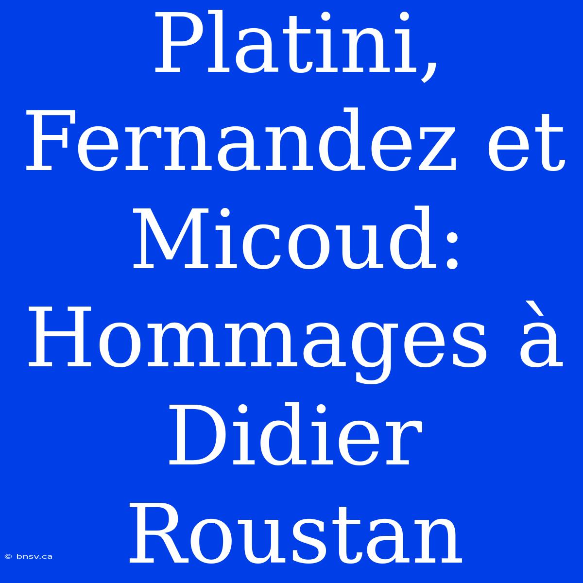 Platini, Fernandez Et Micoud: Hommages À Didier Roustan