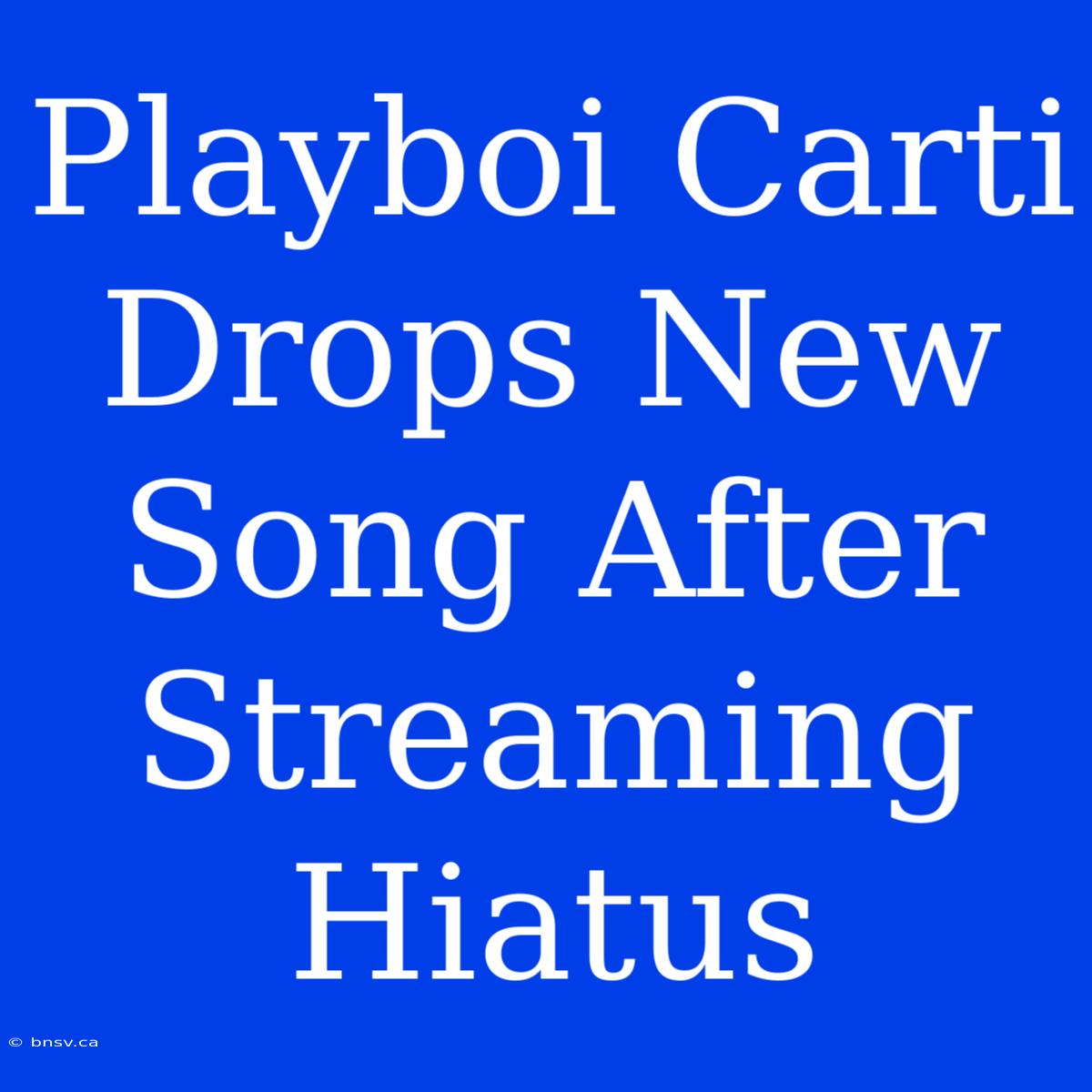 Playboi Carti Drops New Song After Streaming Hiatus