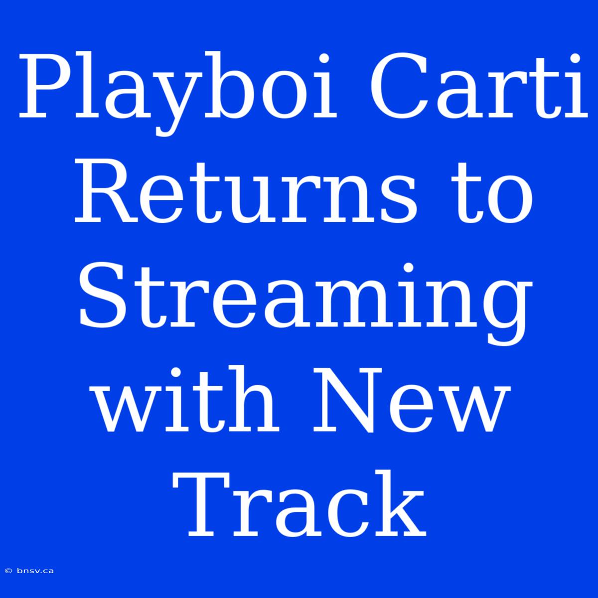 Playboi Carti Returns To Streaming With New Track