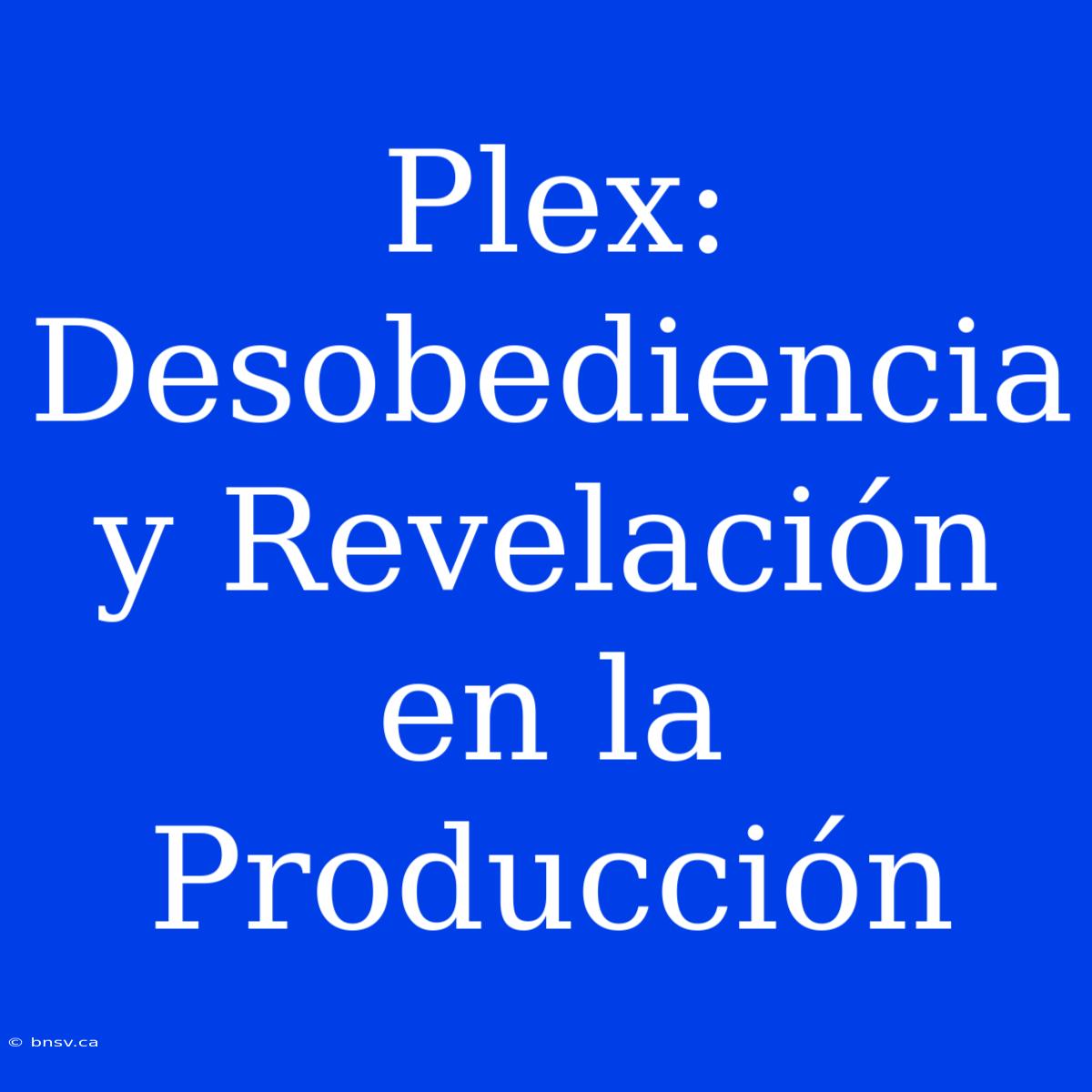 Plex: Desobediencia Y Revelación En La Producción