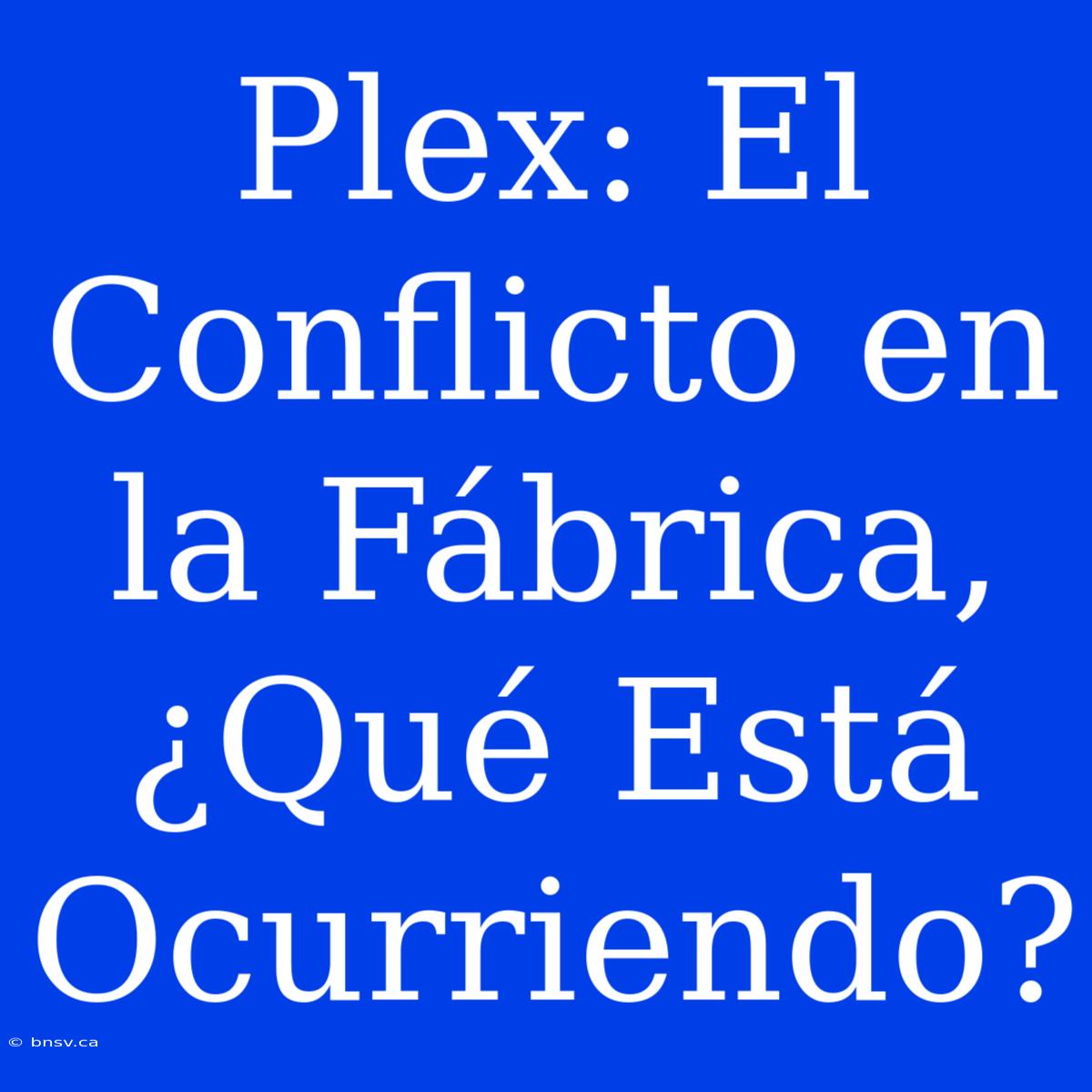 Plex: El Conflicto En La Fábrica, ¿Qué Está Ocurriendo?