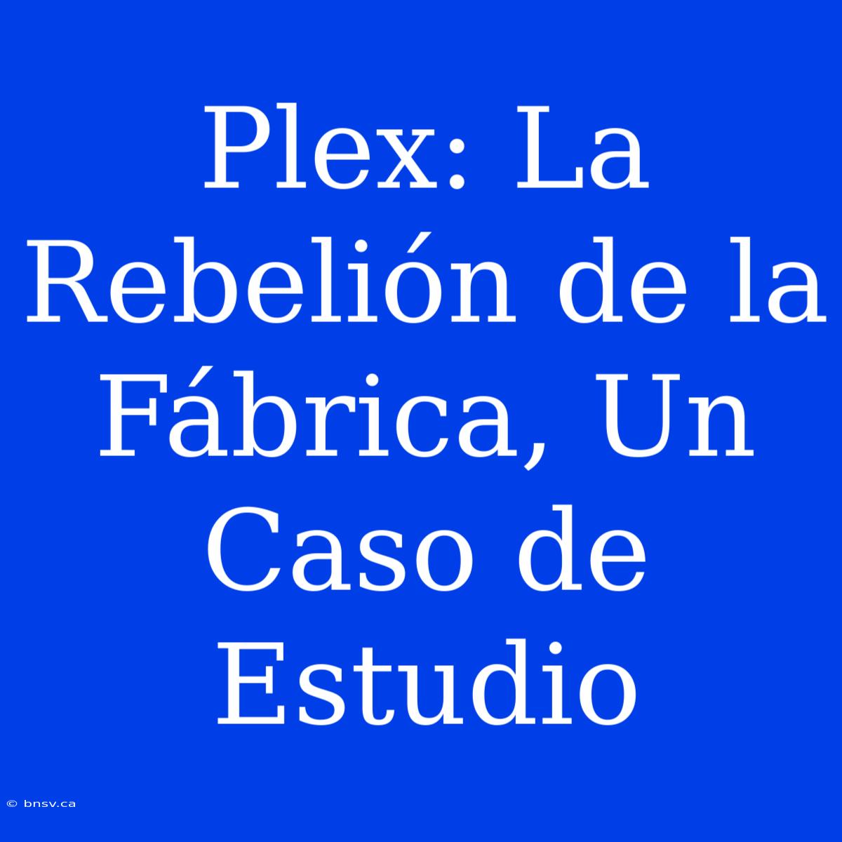 Plex: La Rebelión De La Fábrica, Un Caso De Estudio