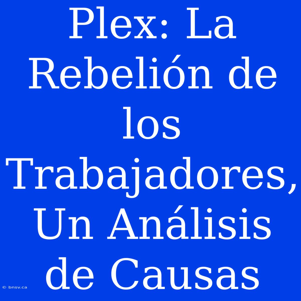 Plex: La Rebelión De Los Trabajadores, Un Análisis De Causas